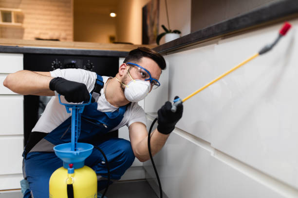 Trusted Lisbon Falls, ME Pest Control Experts