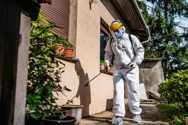 Best Wasp Removal Services  in Lisbon Falls, ME