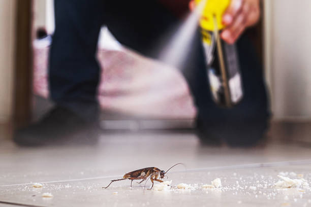 Best Pest Control for Businesses  in Lisbon Falls, ME