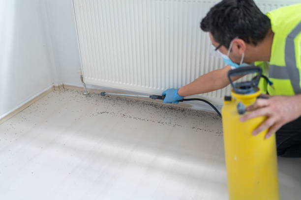 Best Pest Inspection Near Me  in Lisbon Falls, ME